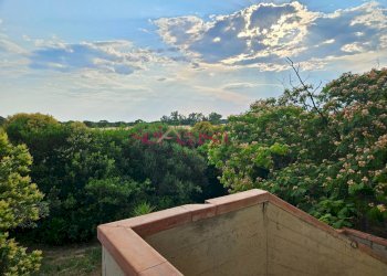 Foto 13 - Villa Grosseto - foto 13