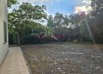 Foto 29 - Villa Grosseto - foto 29