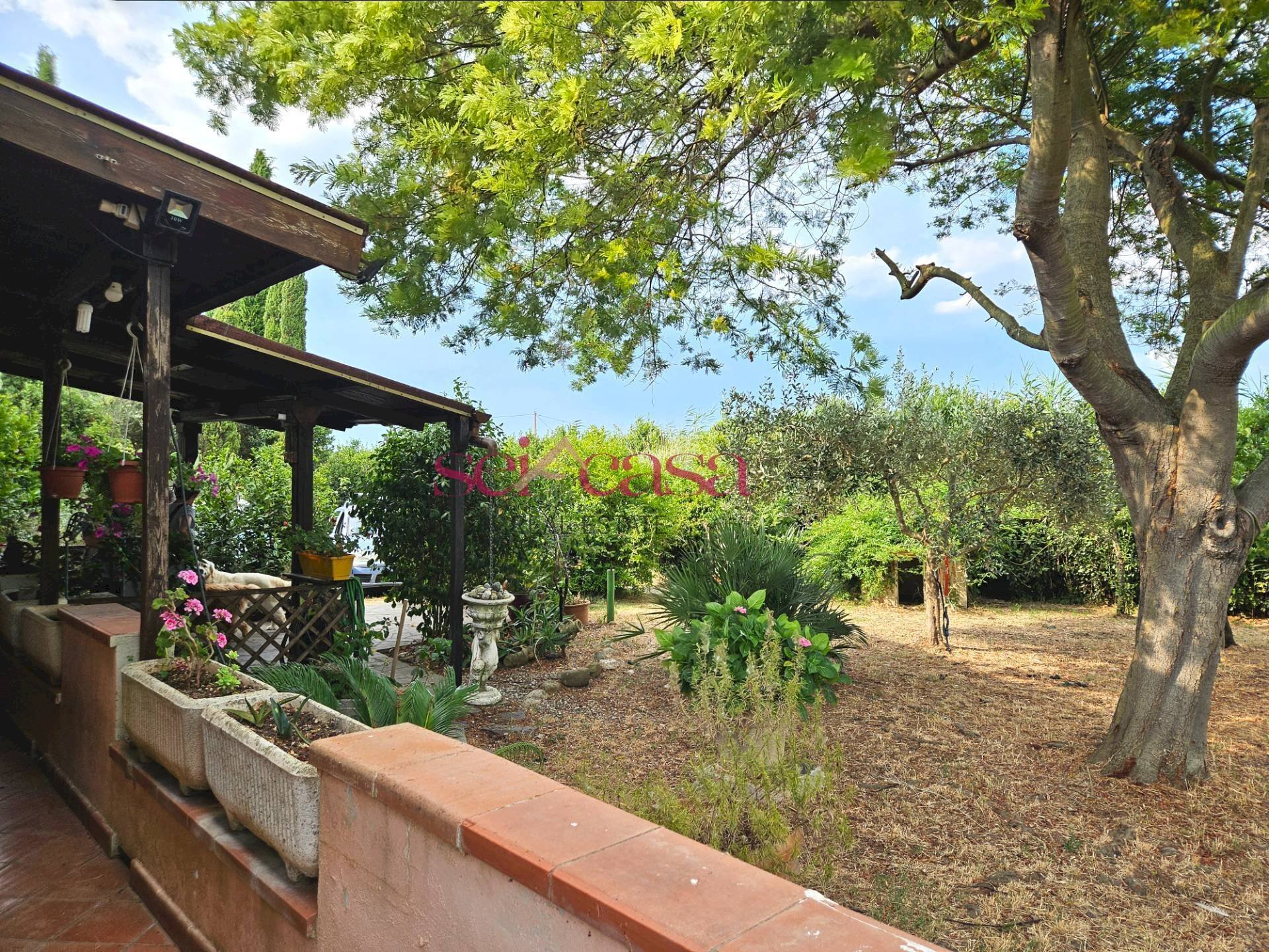 Foto 2 - Rustico Grosseto - foto 2