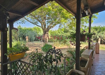Foto 1 - Rustico Grosseto - foto 1