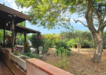Foto 2 - Rustico Grosseto - foto 2