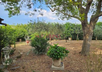 Foto 4 - Rustico Grosseto - foto 4