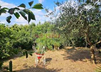 Foto 5 - Rustico Grosseto - foto 5