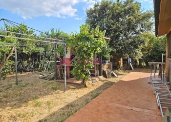 Foto 31 - Rustico Grosseto - foto 31
