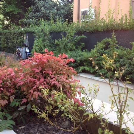 Giardino - Monolocale via Bellaria, Bologna (zona Mazzini) - foto 2
