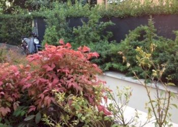 Giardino - One-room apartment via Bellaria, Bologna (neighborhood Mazzini) - photo 2
