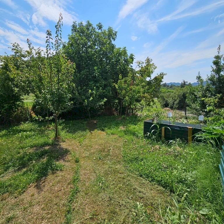 Terreno - Independent house via Morsingo, 8, Mombello Monferrato - photo 1
