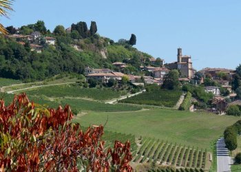 Rustico Guarene - foto 8