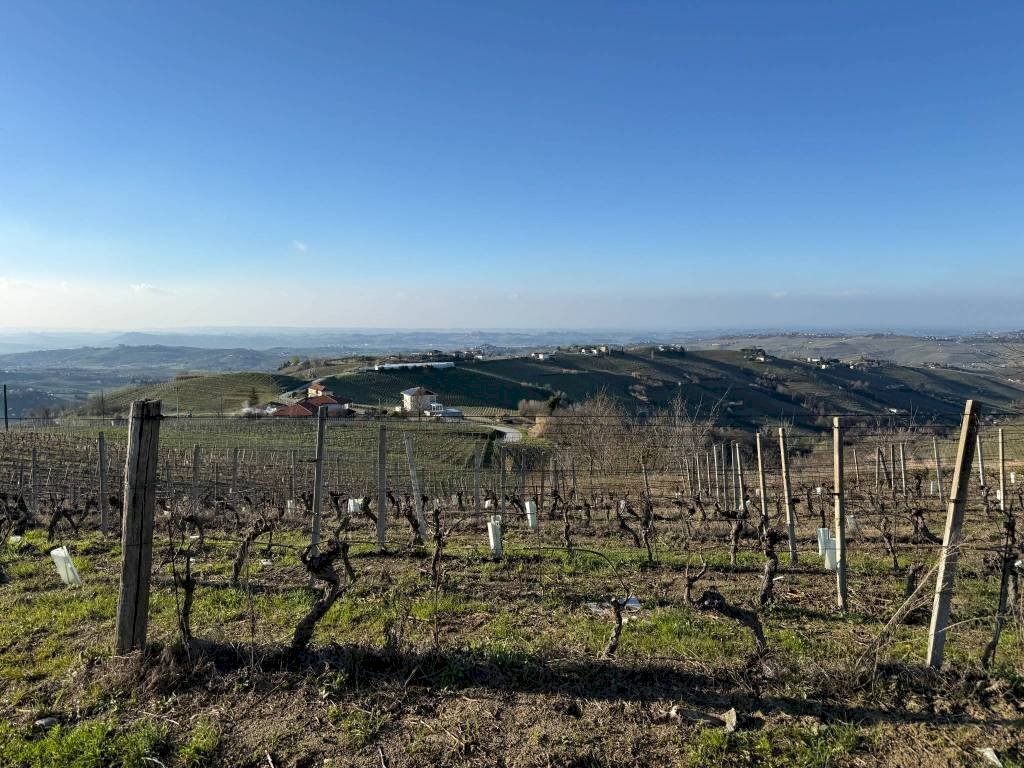 Terreno agricolo Santo Stefano Belbo - foto 1