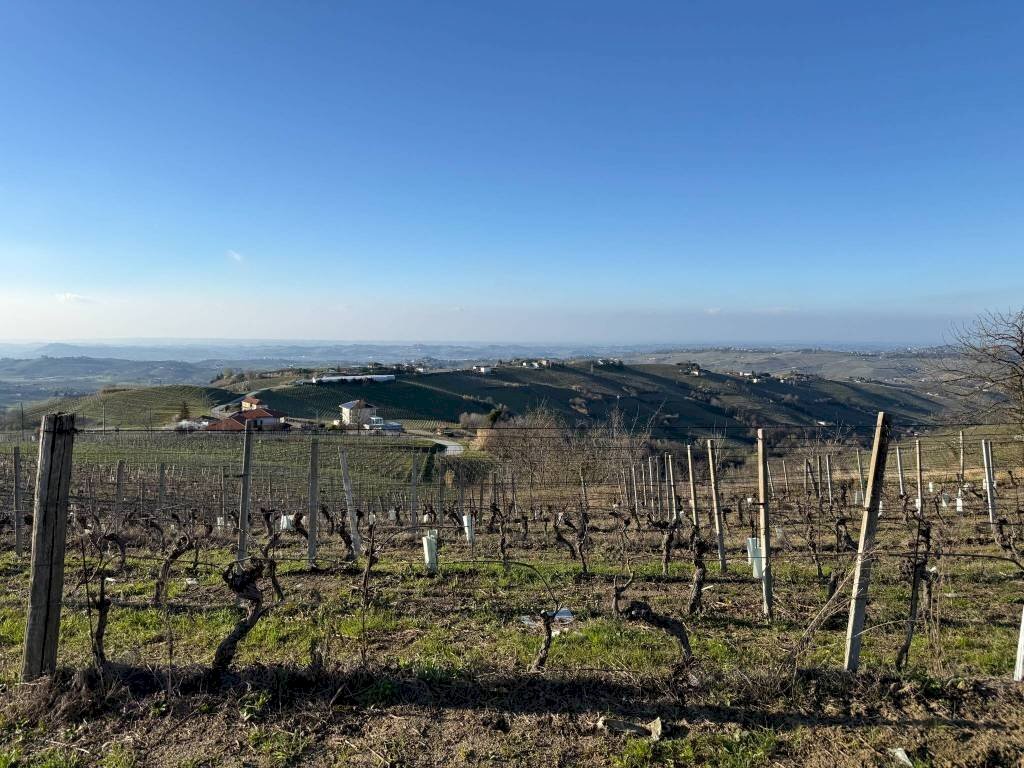 Terreno agricolo Santo Stefano Belbo - foto 2