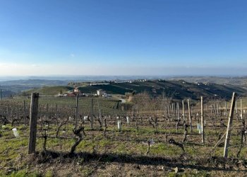 Terreno agricolo Santo Stefano Belbo - foto 1