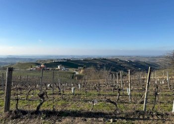 Terreno agricolo Santo Stefano Belbo - foto 2
