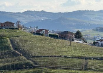 Terreno agricolo Santo Stefano Belbo - foto 9