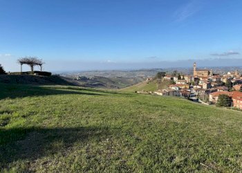 Terreno agricolo Santo Stefano Belbo - foto 13