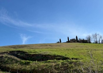 Terreno agricolo Santo Stefano Belbo - foto 15
