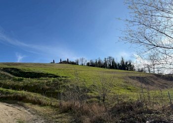 Terreno agricolo Santo Stefano Belbo - foto 16