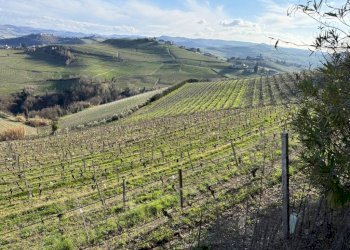 Terreno agricolo Santo Stefano Belbo - foto 18