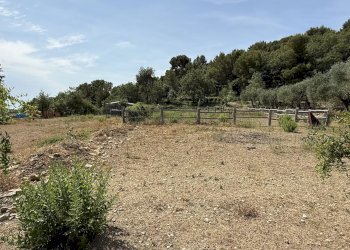 Casale Via Arboree, San Bartolomeo al Mare - photo 4
