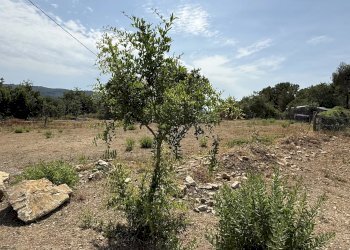 Casale Via Arboree, San Bartolomeo al Mare - photo 6