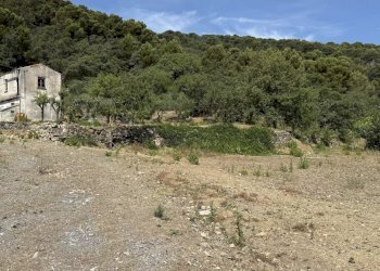 Casale Via Arboree, San Bartolomeo al Mare - photo 7