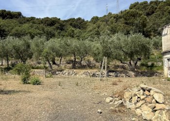 Casale Via Arboree, San Bartolomeo al Mare - photo 8