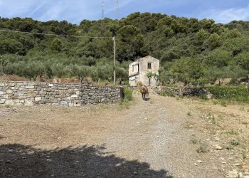 Casale Via Arboree, San Bartolomeo al Mare - photo 11