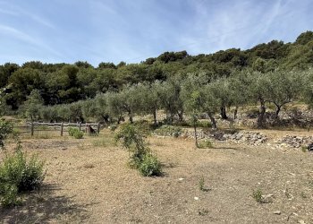 Casale Via Arboree, San Bartolomeo al Mare - photo 14