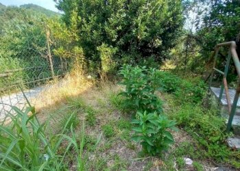 Two-room apartment Lavagna - photo 6