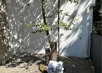 Two-room apartment Viale Cervia, Riccione - photo 9