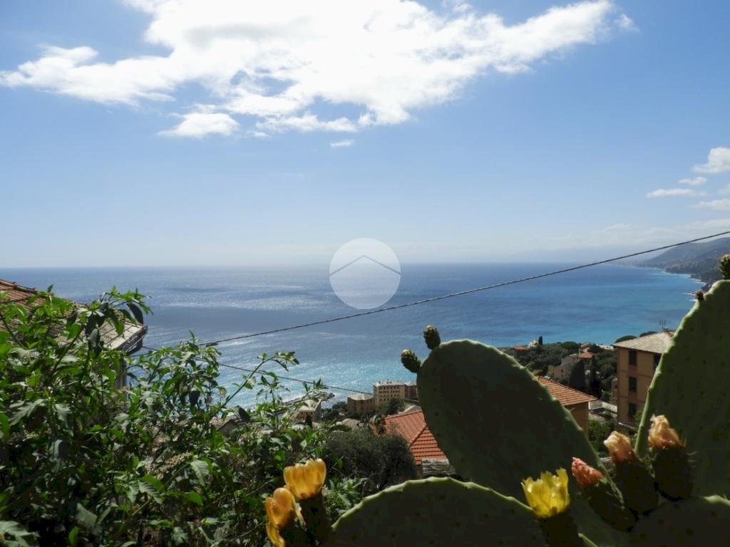 Four-room apartment Via aurelia, Camogli - photo 1