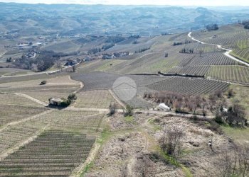 Casa semi indipendente Via Vassalli, La Morra - foto 4