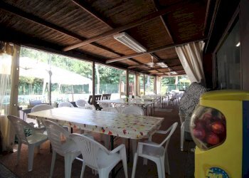 Apartment Mesola - photo 10