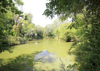 Apartment Mesola - photo 22