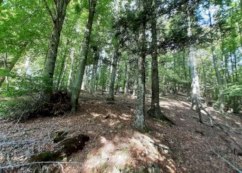 Villa Via delle Macchie 13, Castiglione dei Pepoli - foto 29