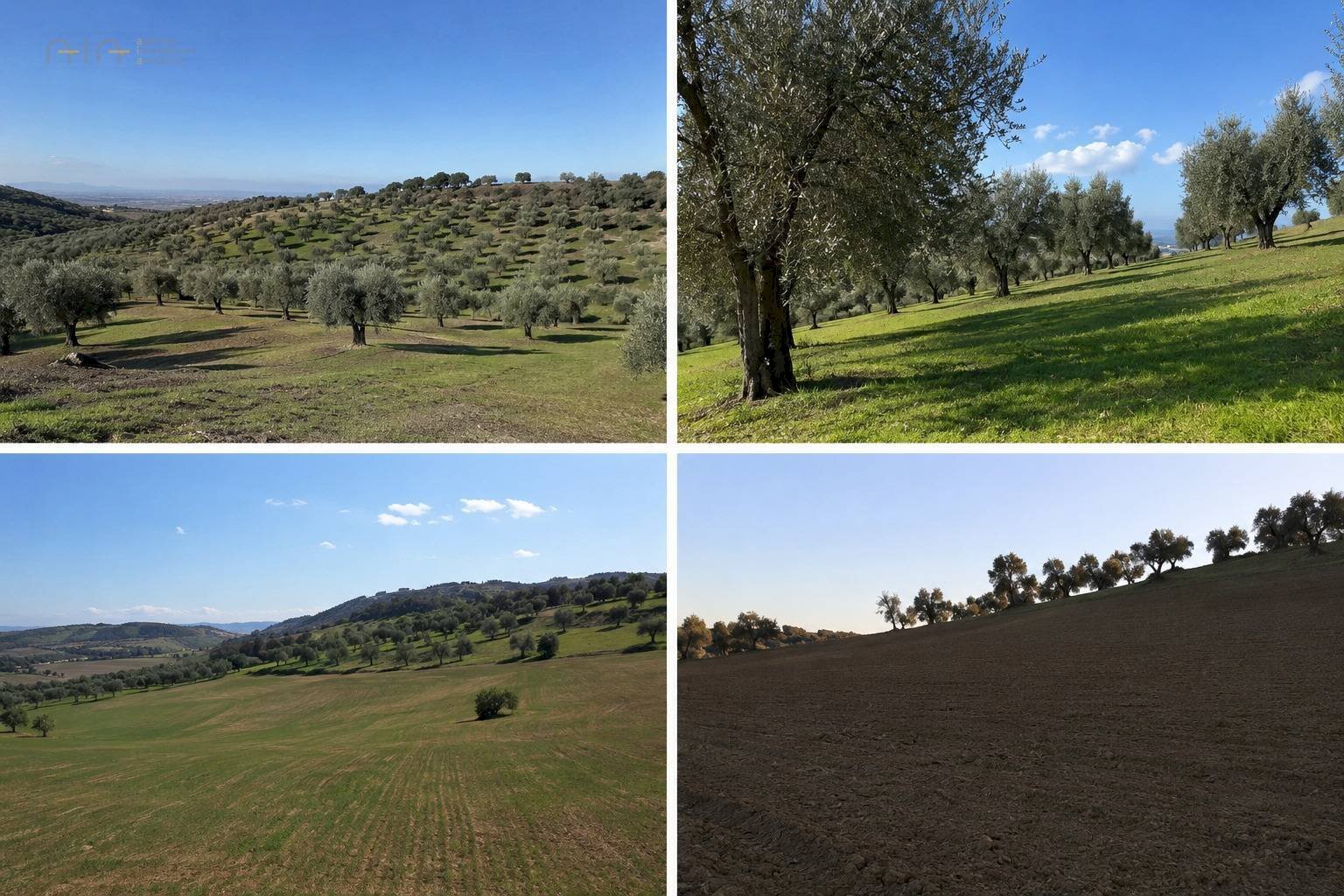 Foto 1 - Terreno agricolo Via Dell'Acquedotto
 
snc, Tortoreto - foto 1