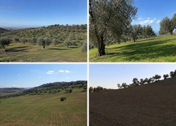 Foto 1 - Terreno agricolo Via Dell'Acquedotto
 
snc, Tortoreto - foto 1