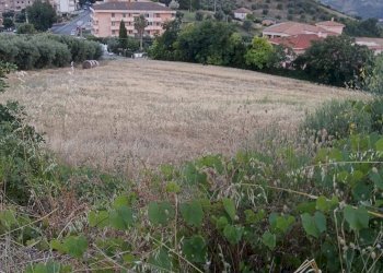 Foto 5 - Terreno agricolo Via Dell'Acquedotto
 
snc, Tortoreto - foto 5