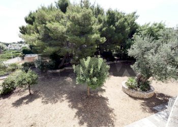 Giardino - Villa Via Dei Gelsomini
 
19, Noicàttaro - photo 39