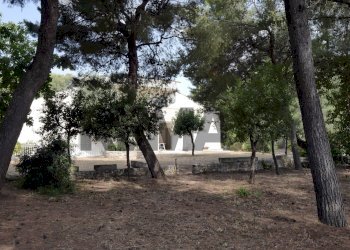 Giardino - Villa Via Dei Gelsomini
 
19, Noicàttaro - photo 41