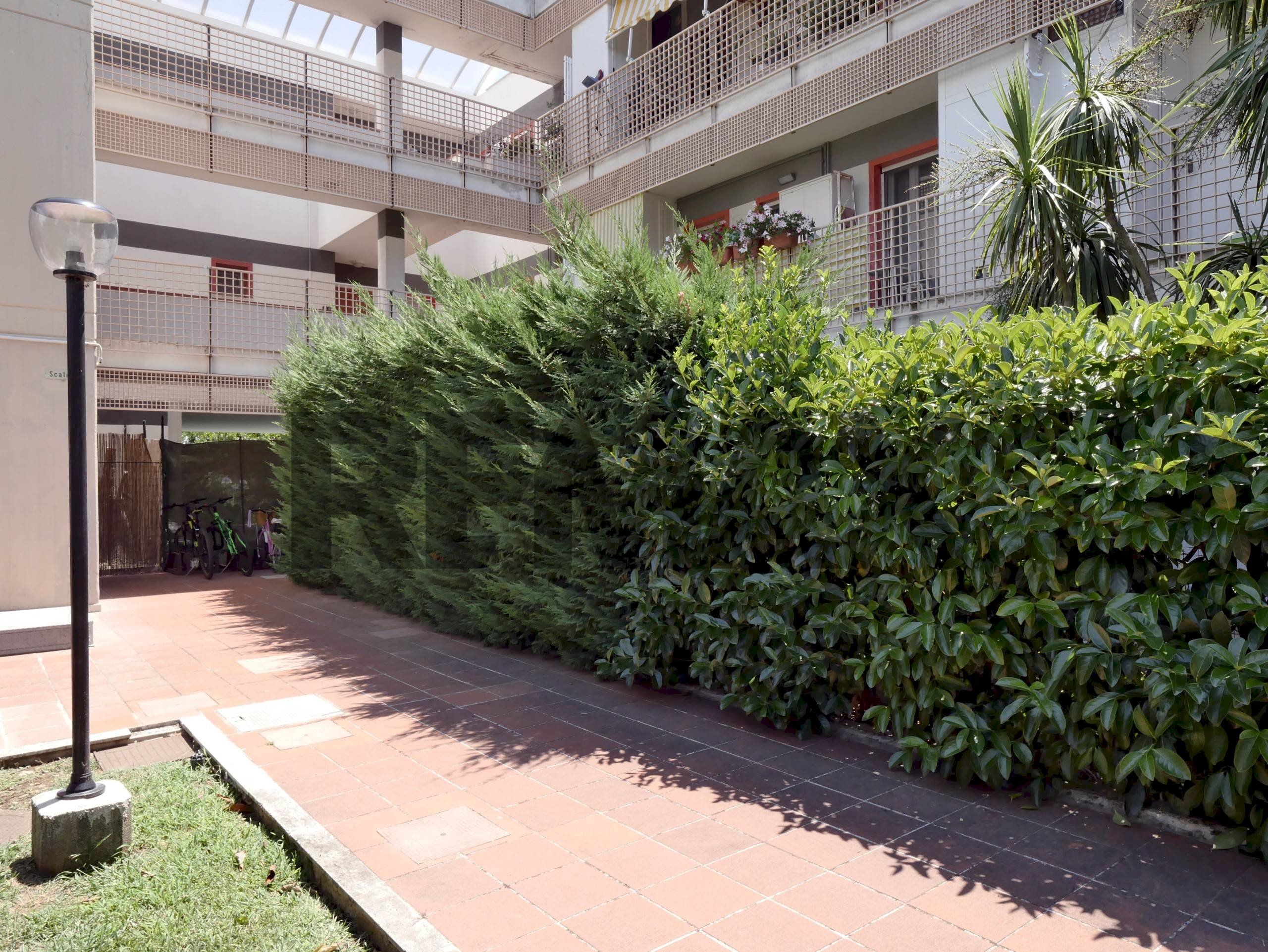 Edificio all\'aperto - Three-room apartment Viale dei Pini
B/2, Noicàttaro - photo 2