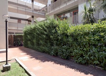 Edificio all\'aperto - Trilocale Viale dei Pini
 
B/2, Noicàttaro - foto 2