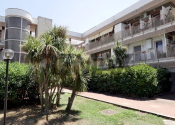 Edificio all\'aperto - Trilocale Viale dei Pini
 
B/2, Noicàttaro - foto 18