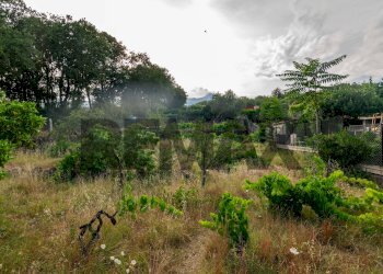 Giardino - Casa indipendente Via Passopomo
 
9, Zafferana Etnea - foto 21