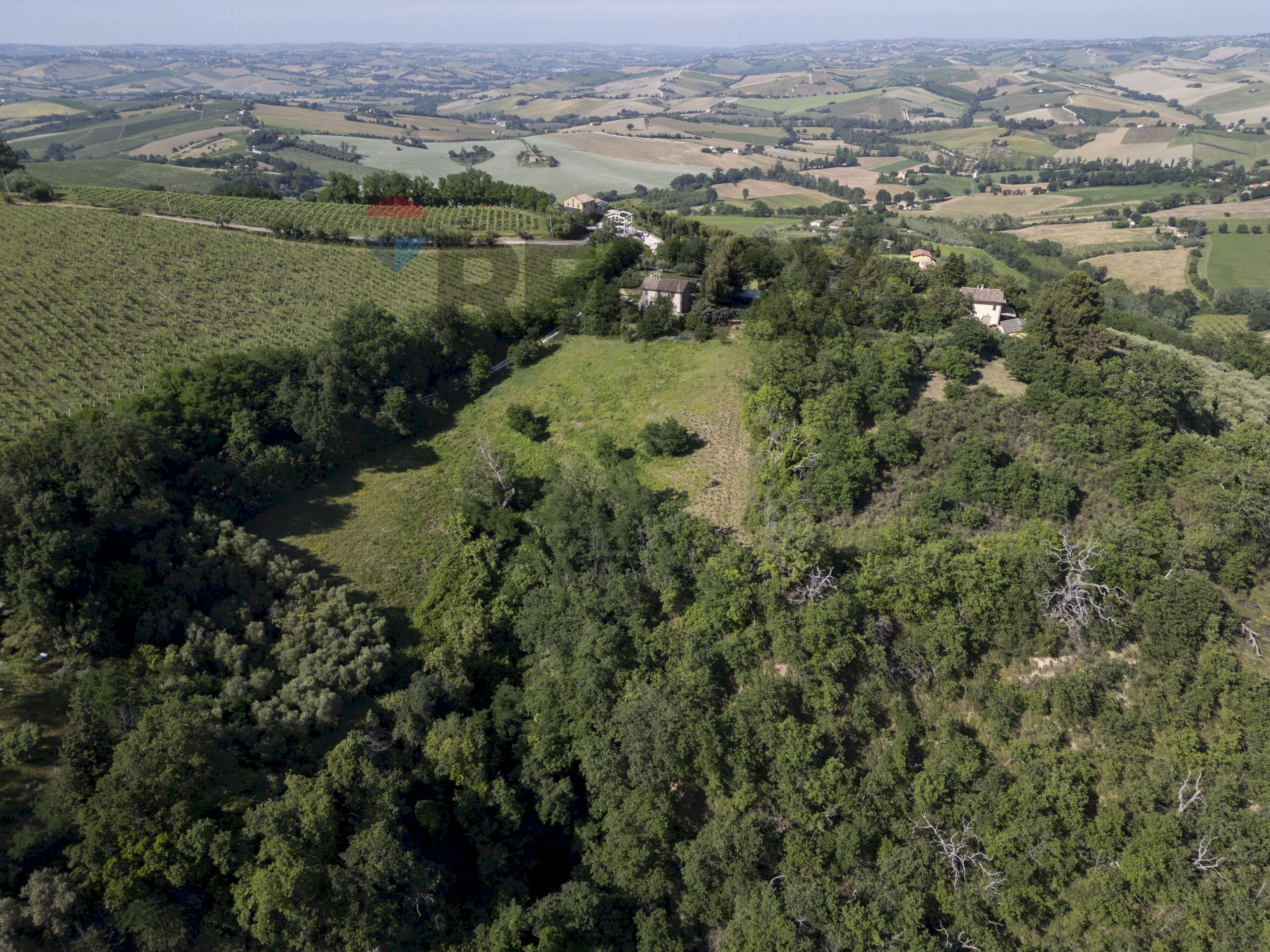 Vista delle montagne - Terreno agricolo Contrada San Biagio
 
2, Montecarotto - foto 1
