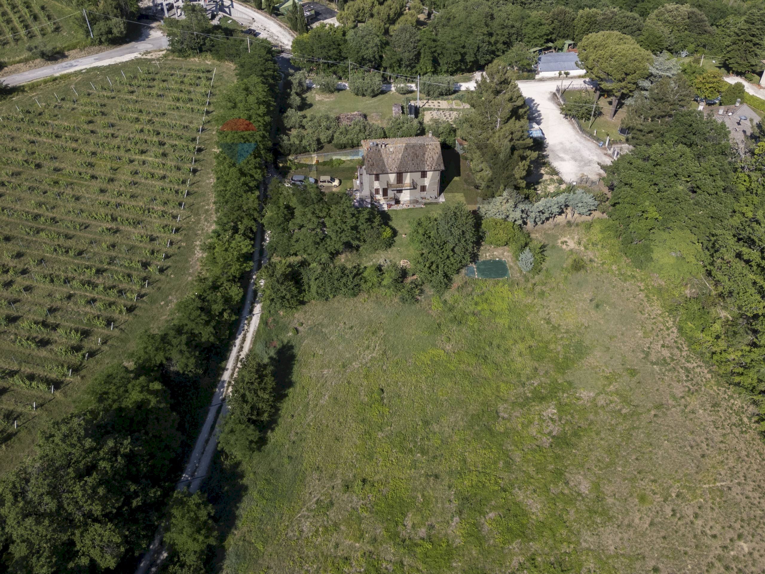Posizione della mappa - Terreno agricolo Contrada San Biagio
2, Montecarotto - foto 3