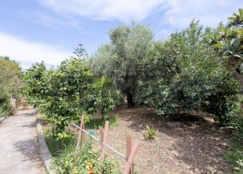 Giardino - Villa VIA PAOLO BORSELLINO
 
16, Augusta - photo 54