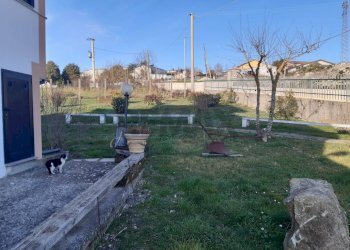 Giardino - Agriturismo Contrada Cupazzo
5, Monteleone di Puglia - photo 19