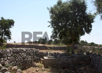 Giardino - Rustic Contrada Commaldo Superiore
 
s.n., Rosolini - photo 20