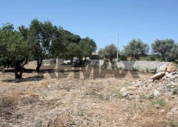 Giardino - Rustic Contrada Commaldo Superiore
 
s.n., Rosolini - photo 21