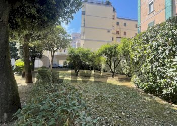 Giardino - Three-room apartment viale colli aminei
10, Napoli - photo 34